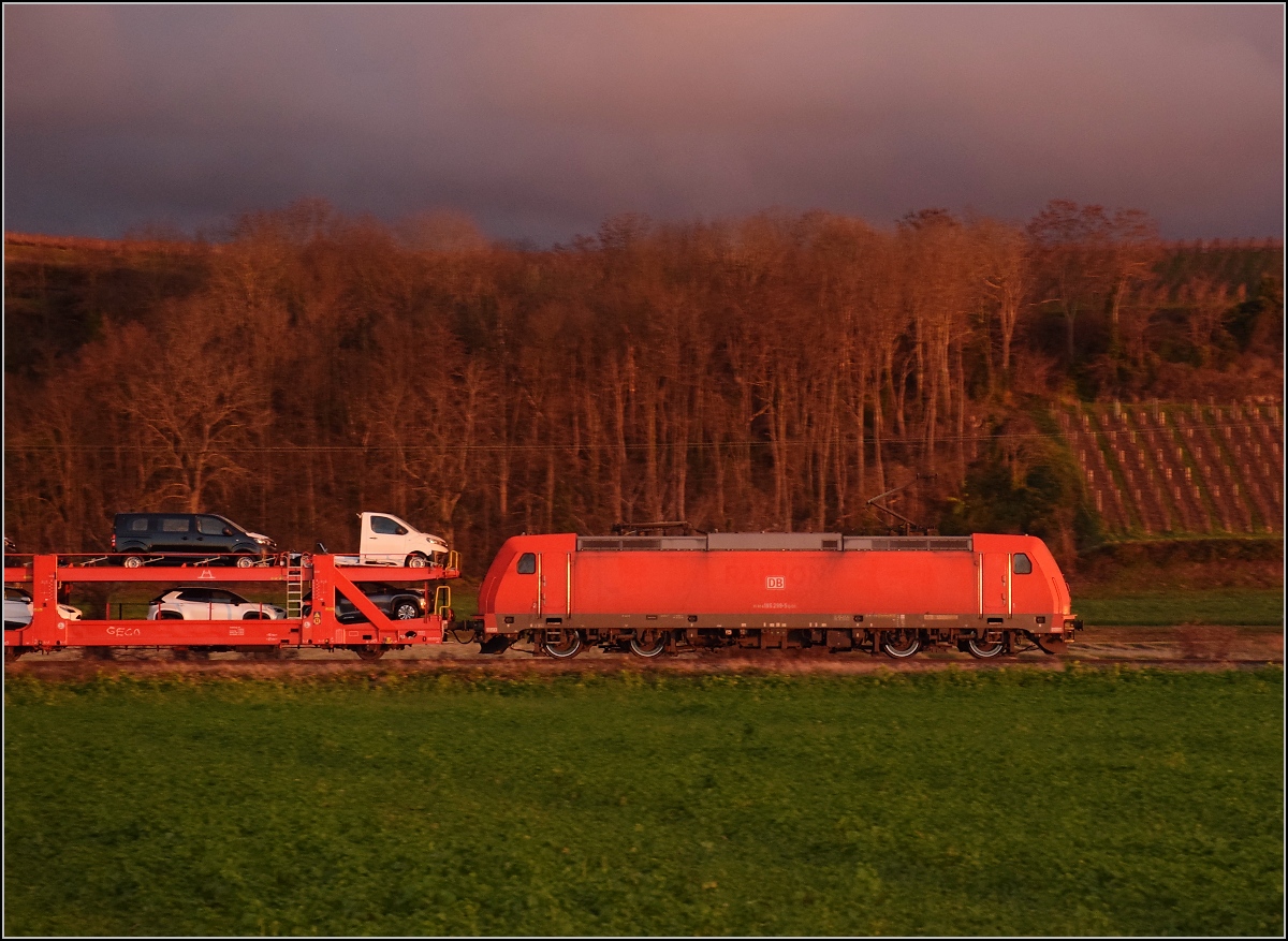 185 299 während des Sonnenuntergangs in Buggingen. November 2021.
