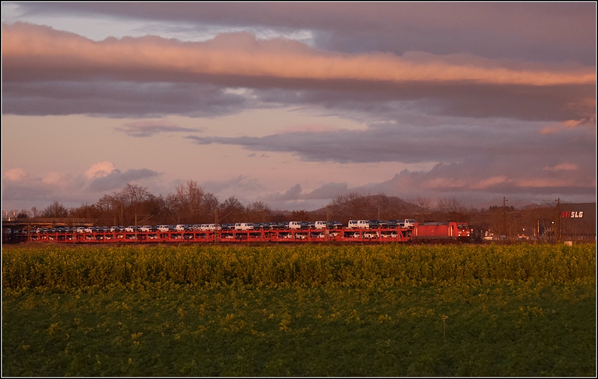 185 299 während des Sonnenuntergangs in Buggingen. November 2021.