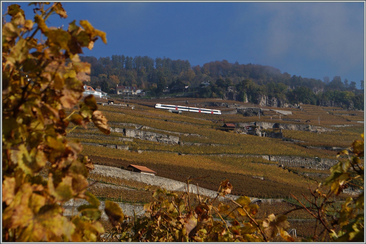 Ab Fahrplanwechsel im Dez. 2014 werden die zur Zeit zweiteiligen Z�ge der S31 um einen Mittelwagen erg�nzt werden.
Bei Chexbres, den 2. Nov. 2014