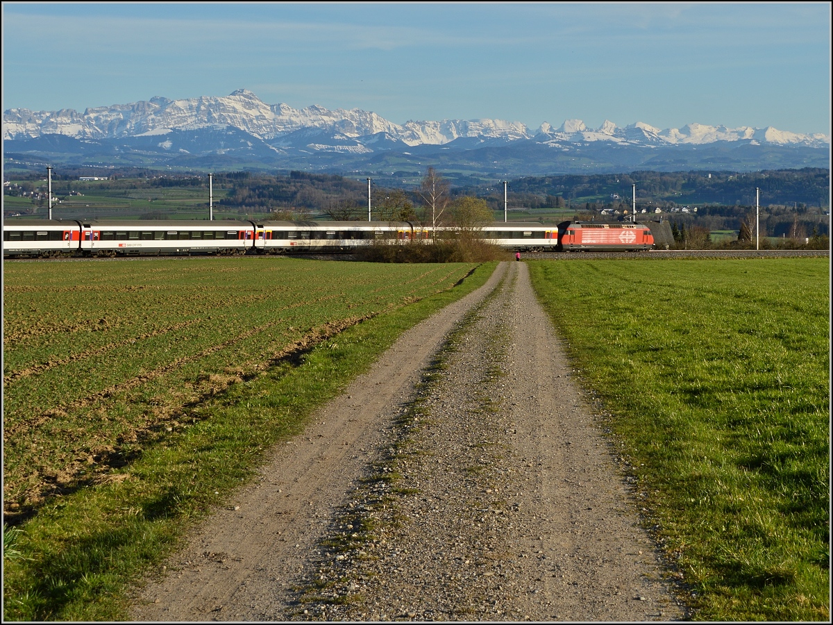 Ächt Thurgau. IR Konstanz-Biel mit Säntisblick bei Berg/TG.