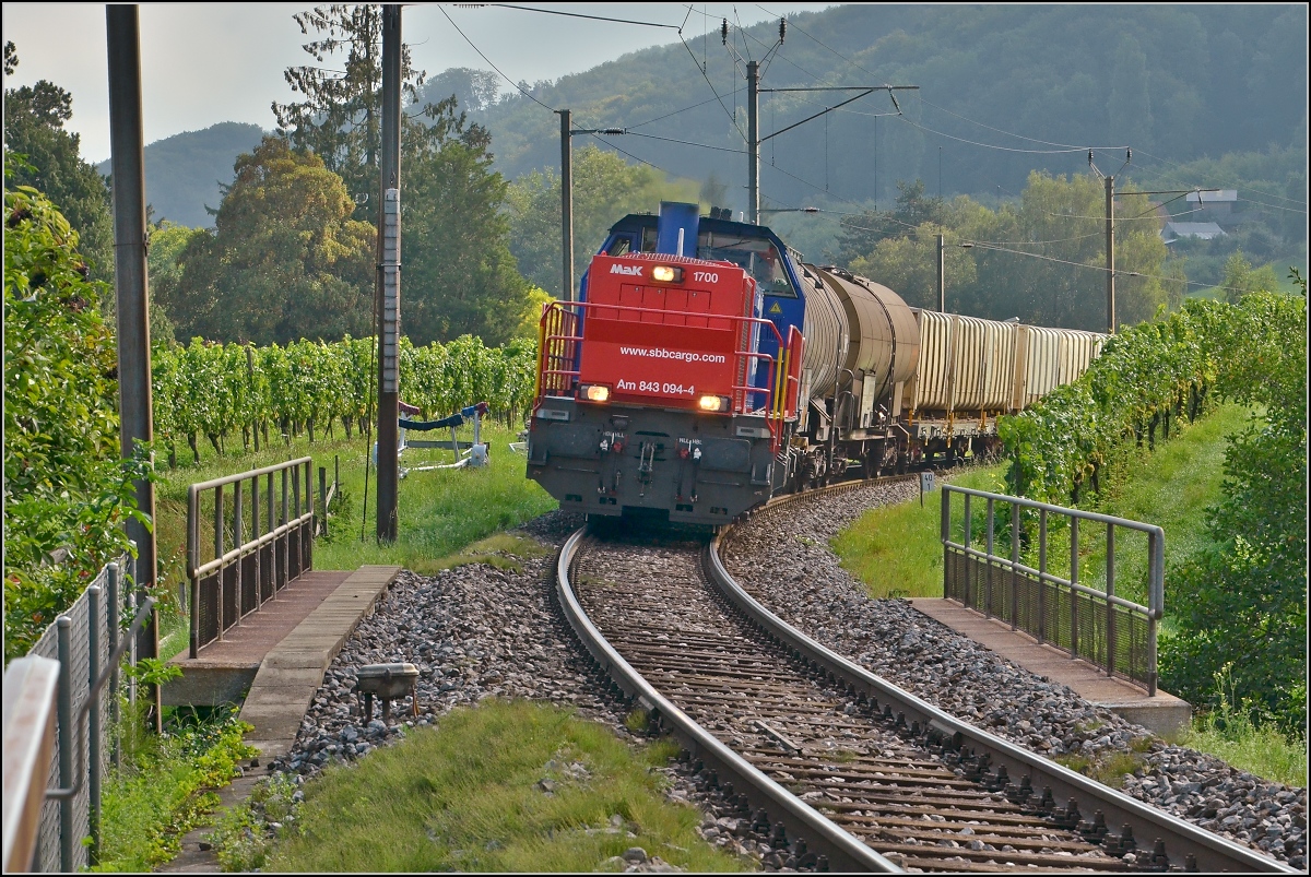 Am 843 094-4 mit dem Nahgüterzug auf der Seelinie bei Mammern. September 2011.