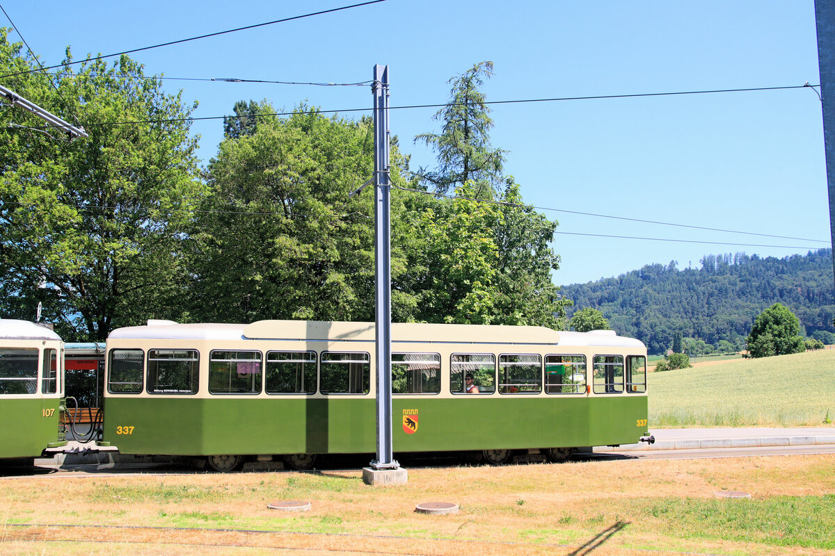 Anhänger 337 aus der Lieferung von 1960/61. Trotz des störenden Masts erkennt man gut die ländliche Umgebung, die an die Hochhäuser von Wittigkofen anschliesst. Der Berner Bär im Wappen klettert auf der türlosen Seite in der Normalrichtung von rechts unten nach links oben. Von diesen Anhängern (331-340) gelangten deren 6 nach Iassi in Rumänien. Saali, 25.Juni 2023 