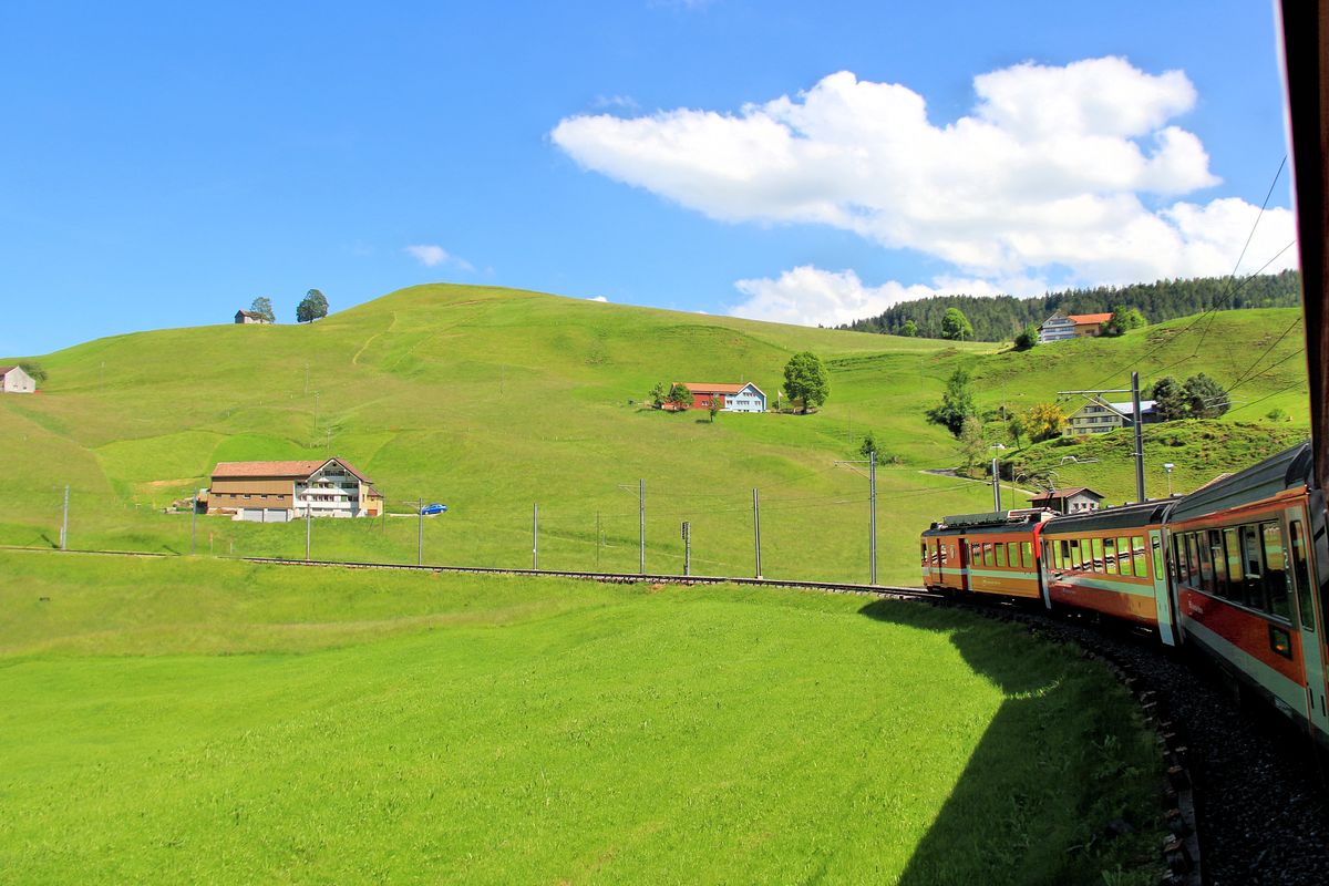 Appenzellerbahnen - in der grossen Schlaufe von Urnäsch. Zug mit Triebwagen 42. 10.Juni 2016. 