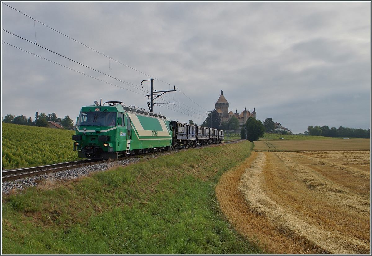 BAM Ge 4/4 N� 22 mit einem G�terzug bei Vufflens le Ch�teau. 
3. Juli 2014