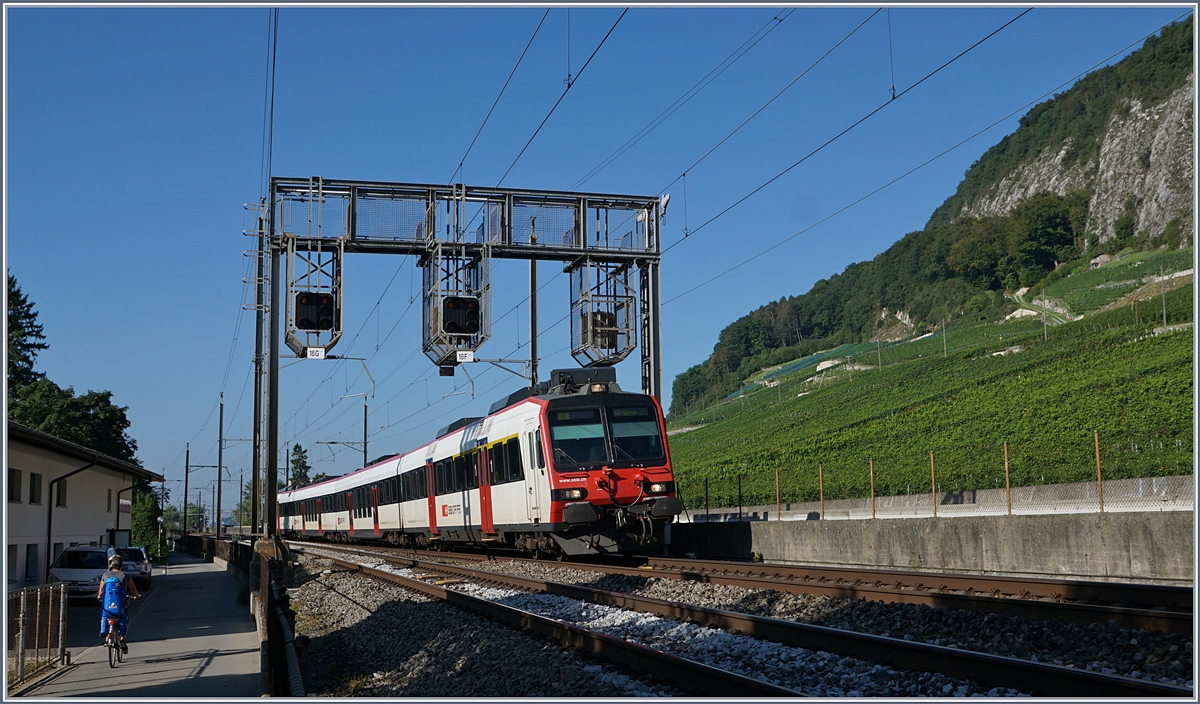 Bei der Siganlbrücke zwischen Tüscherz und Twann konnte ich diesen SBB RBDe 560  Domino  auf der Fahrt nach Biel fotografieren. 
18. August 2017