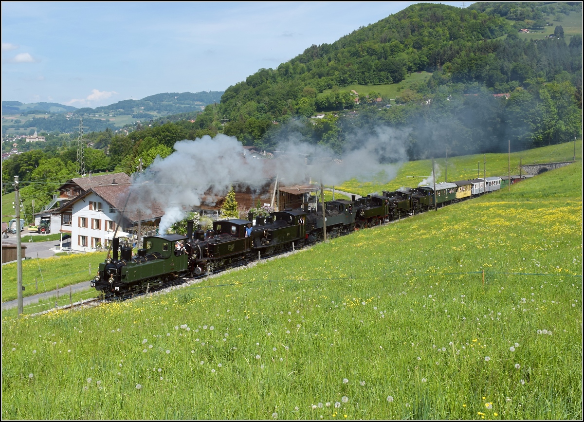 Blonay-Chamby Mega Steam Festival zum 50. Jubiläum der Museumsbahn. Septuple Traction oder auf deutsch 7-fach Traktion und für die Fachleute 6-fach-Vorspann, wann gibt es schon mal so etwas zu sehen. Zischen, Dampfen, Pfeifen, Klackern und rumpeln zu Siebt, wann gibt es so etwas schon mal zu sehen. Blonay, Mai 2018.

1. Lok: G 3/3 5, 1890 LEB
2. Lok: G 3/3 909 / 6, 1901 JS / BAM
3. Lok: G 3/4 208, 1913 CFF
4. Lok: G 2x 2/2 E164, 1905 CP
5. Lok: G 2x 2/2 105, 1918 SEG
6. Lok: HG 3/4 4, 1913 FO
7. Lok: HG 3/4 3, 1913 BFD