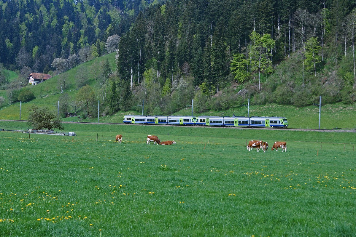 BLS: S2 Laupen BE–Bern–Konolfingen–Langnau im Emmental bestehend aus einer Doppeltraktion RABe 525  NINA  zwischen Konolfingen und Langnau im Emmental unterwegs am 29. April 2015. 
Foto: Walter Ruetsch