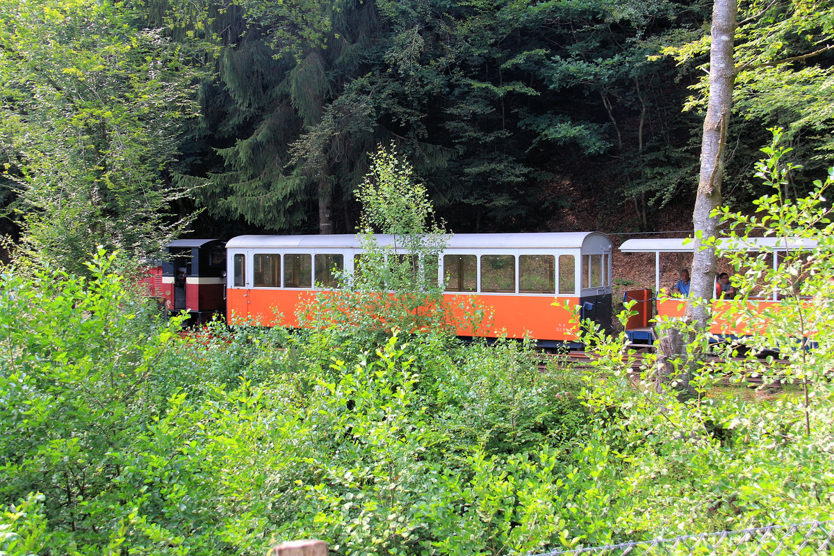 Chemin de Fer Forestier d'Abreschviller : Der zweite heute eingesetzte Zug hat den einstigen WAB-Wagen 35 bei sich; hier fährt dieser Zug in den Rest einer früheren Zweiglinie hinein, um den Gegenzug passieren zu lassen. 22.7.18