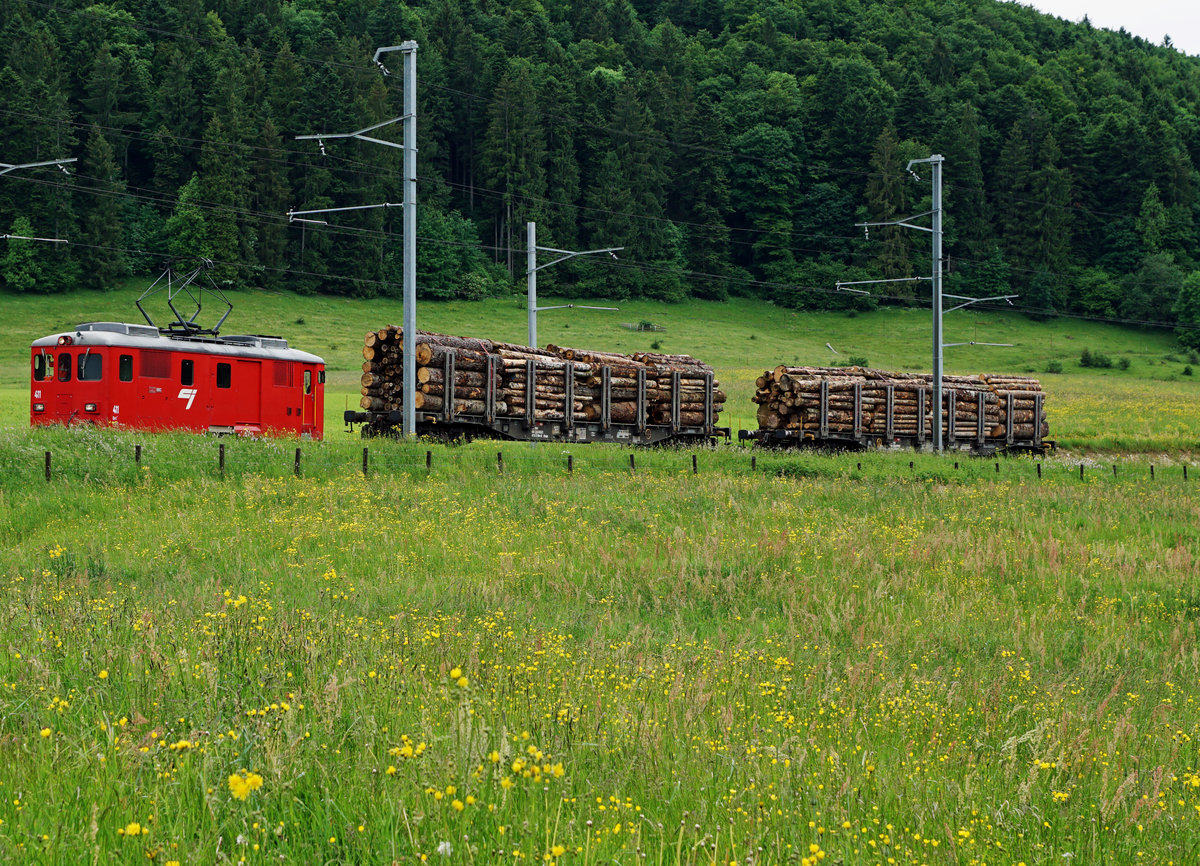 CJ: CJ-Idylle.
Sämtliche Aufnahmen sind trotz starkem Regen am 6. Juni 2017 entstanden.
Foto: Walter Ruetsch