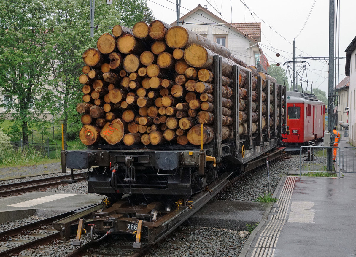 CJ: CJ-Idylle.
Sämtliche Aufnahmen sind trotz starkem Regen am 6. Juni 2017 entstanden.
Foto: Walter Ruetsch