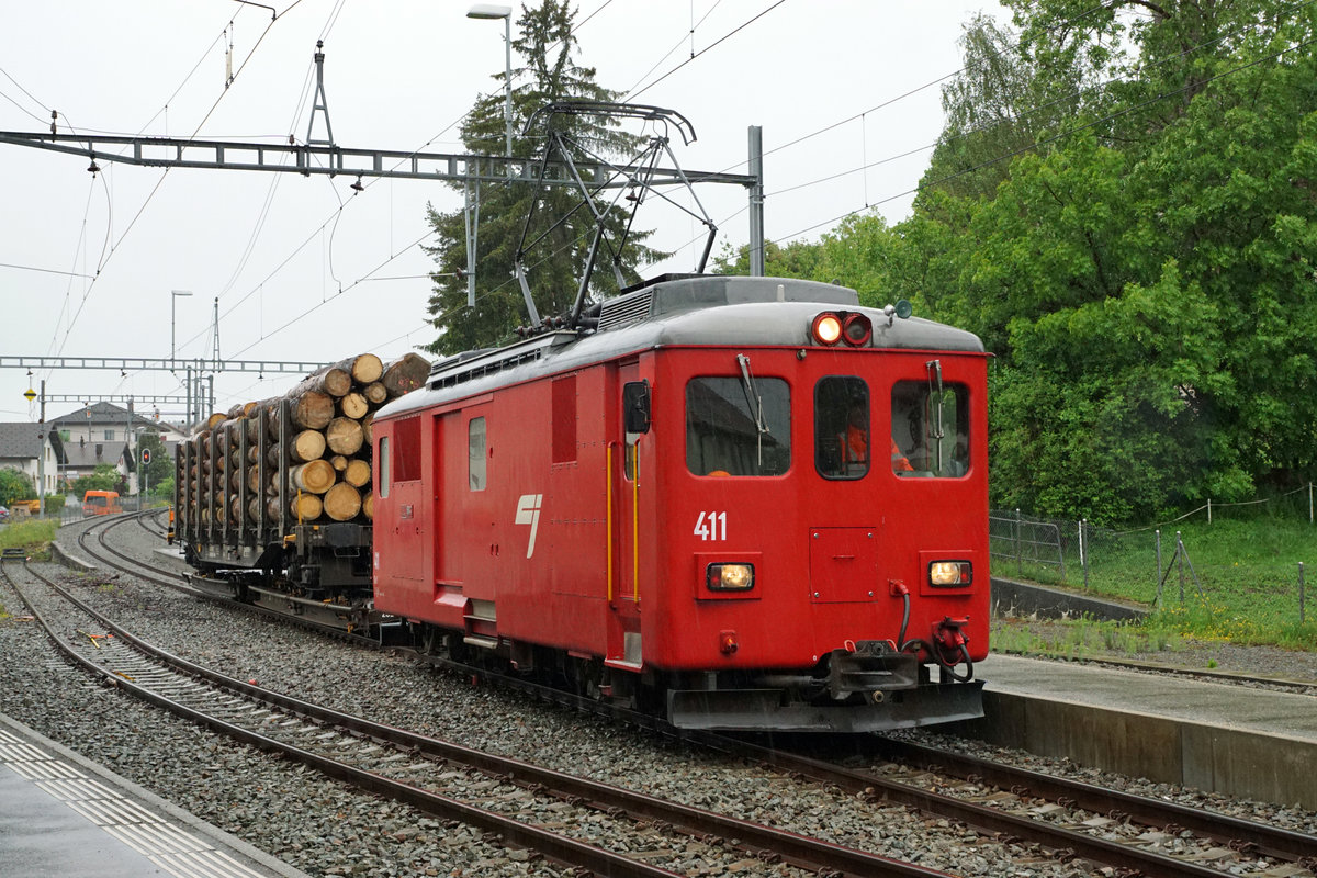 CJ: CJ-Idylle.
Sämtliche Aufnahmen sind trotz starkem Regen am 6. Juni 2017 entstanden.
Foto: Walter Ruetsch