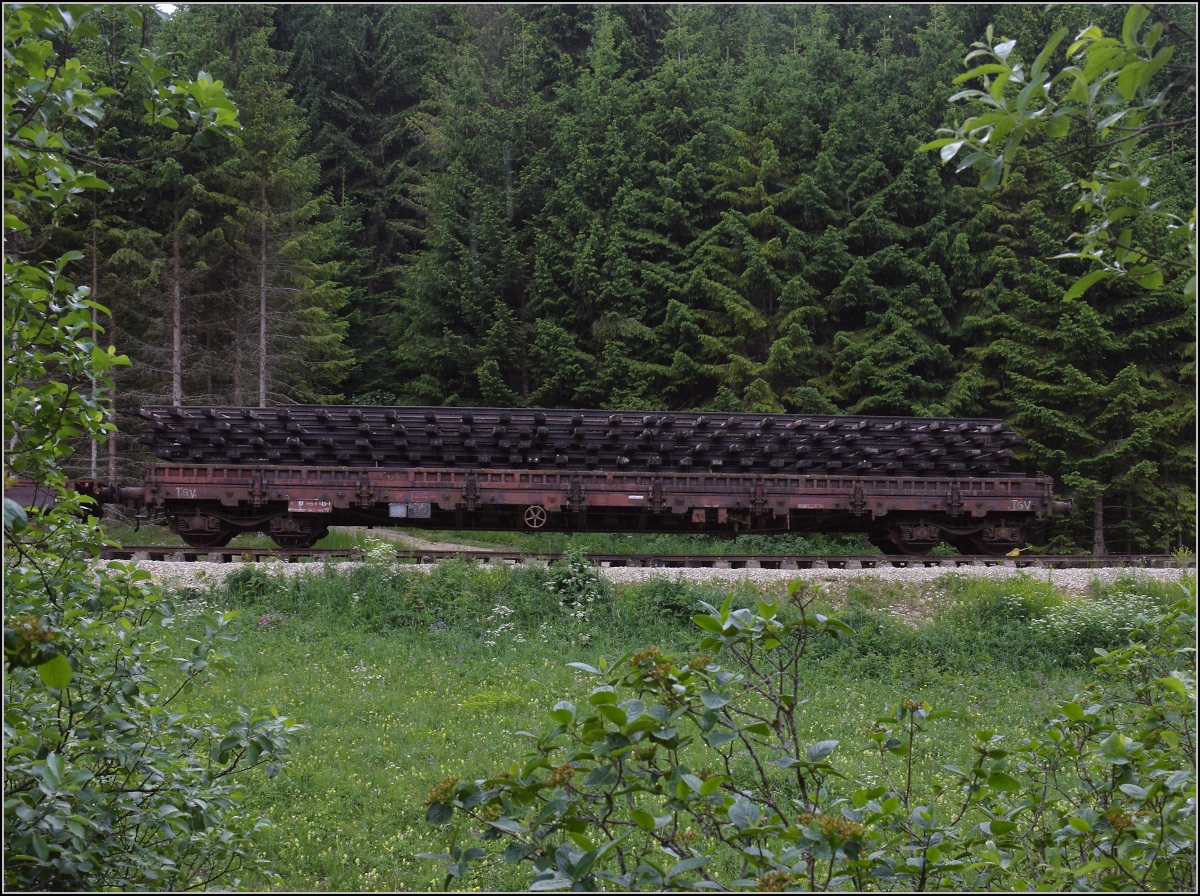 Coni'Fer

Nachdem Peter treffend bemerkte, nur Schweizer Rollmaterial, habe ich mal nach dem Gegenteil gesucht, nur wenige der vielen Wagen und Loks stammen nicht aus der Schweiz. Hier ein 4-achsiger Flachwagen mit der Nummer xx 87 393-6 643-1. Demnach ein französischer Wagen neuerer Bauart. Chapelle Mijoux, Juli 2022.
