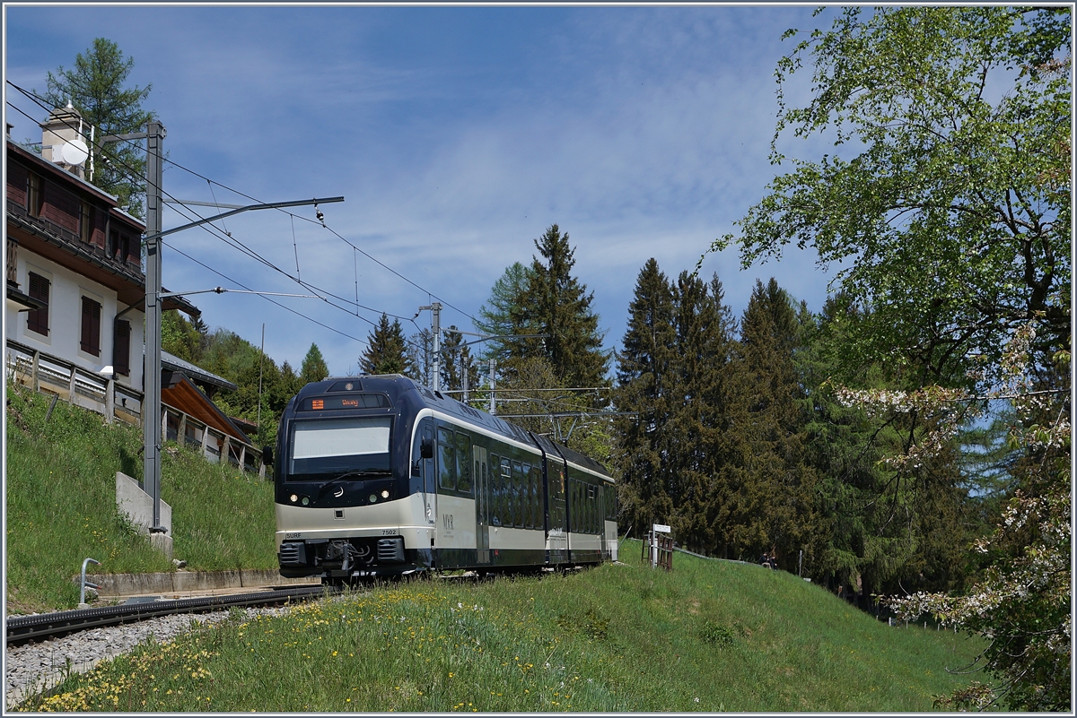 Da die Strecke von Lally bis auf dem Les Pléiades als *touristischer Verkehr  eingestuft wird, wendeten die CEV MVR Züge währen der erste Welle des Covid 19 in Lally. 

Im Winter 2020/2021 hingegen verkehren die Züge bis zur Endstation Les Pléiades, dürfen aber ab Lally gemäss Skilift und Seilbahnbestimmungen (!) nur zu 2/3 besetzt sein.

Im Bild der CEV MVR SURF ABeh 2/6 7502  Blonay  

8. Mai 2020