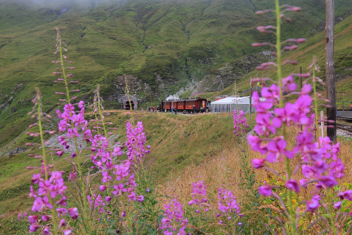 Dampfbahn Furka Bergstrecke: Ein roter Zug mit Lok HG 3/4 4 auf der Furka, inmitten von wunderschönen Weidenröschen. 23. August 2020 