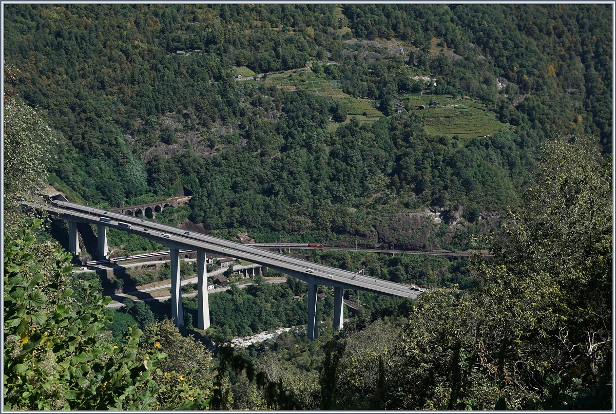 Dank der unübersehbaren Autobahnbrücke kaum zu sehen, mit welcher Genialität die Konstrukteure der Gotthardbahn vor über 100 Jahren die Strecke in die Landschaft gebettet haben: Biascina zwischen Lavorgo und Gironico, bei genauerm Hinschauen entdeckt man auch einen IR welche eine Re 460 Richtung Locarno traktiert.
7. Sept. 2016