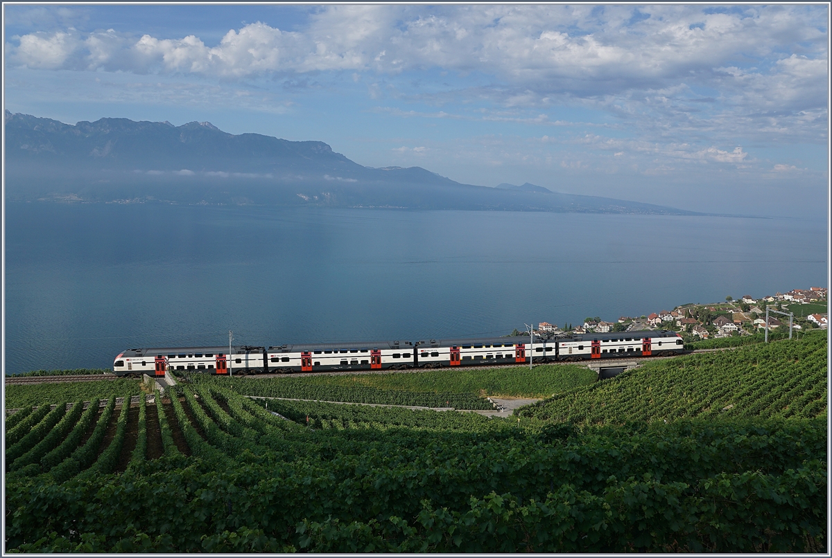 Das Fête des Vignerons 2019 ist Geschichte. Wie erwartet bot der beachtliche Zusatzverkehr, der grösstenteils mit RABe 511 und ABeh 2/6 bewältigt wurde, wenige Bahnspezifische Fotomotive. Trotzdem hier ein kleiner Rückblick auf das Fêtes des Vignerons 2019:

Das Bild weckt Erinnerung an den  Sommerfahrplan 2018 , doch dieser RABe blieb in der Region und pendelte den ganzen Tag zwischen Vevey und Puidoux (bzw. Palézieux) hin und her, ohne jedoch die Bedarfshalte Vevey-Funi und Corseaux-Cornalles zu bedienen Im Bild der SBB RABe 511 104 kurz vor Chexbres-Village am 26. Juli 2019