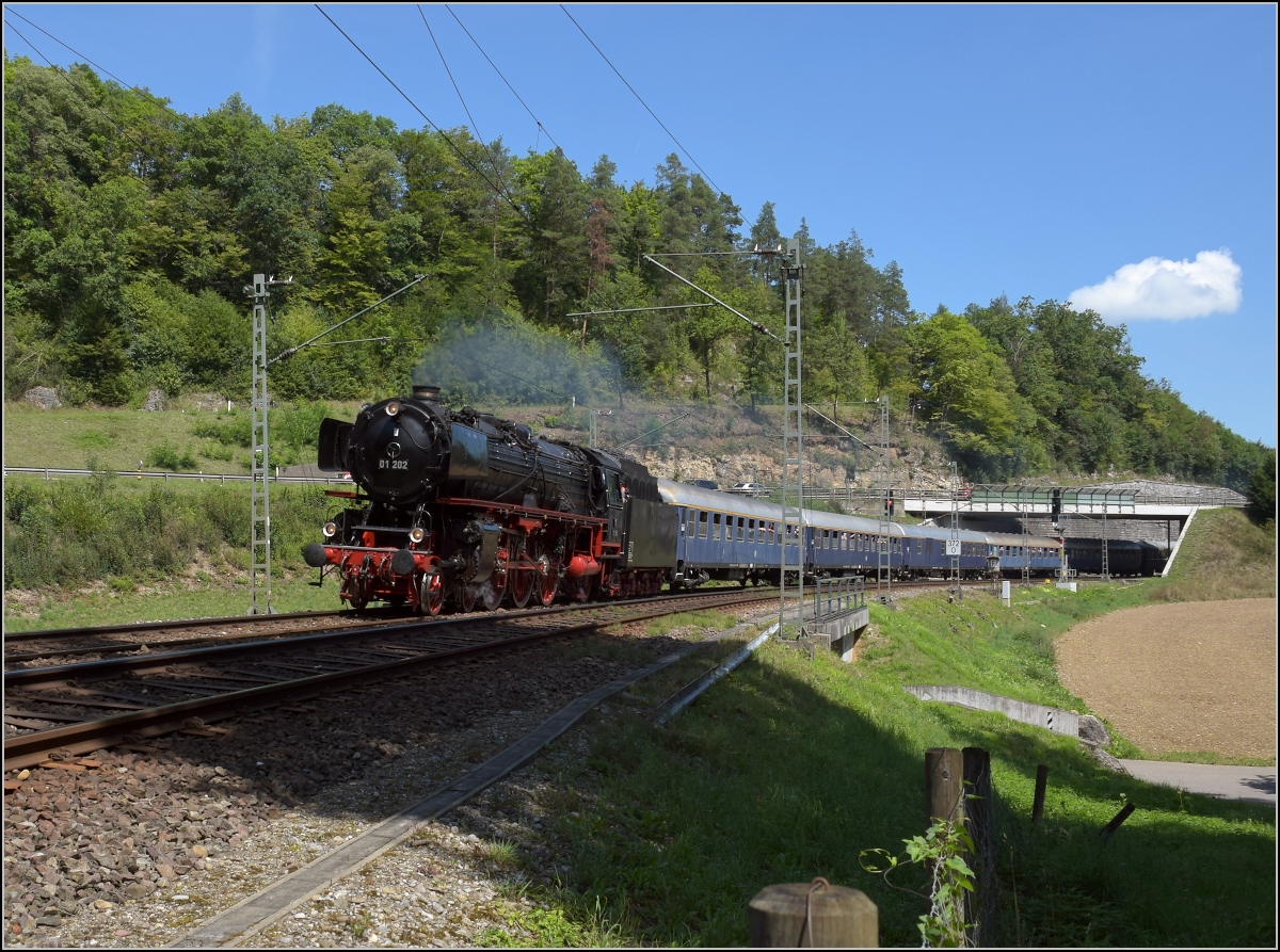 Den Rundkurs Schaffhausen - Etzwilen - Singen - Schaffhausen konnte man zuletzt 1969 mit Personenzügen fahren. Dies ist der erste Sonderzug auf diesem Weg seit 1969 kurz vor Erreichen seines Startpunkts Schaffhausen. Thayngen, August 2020.