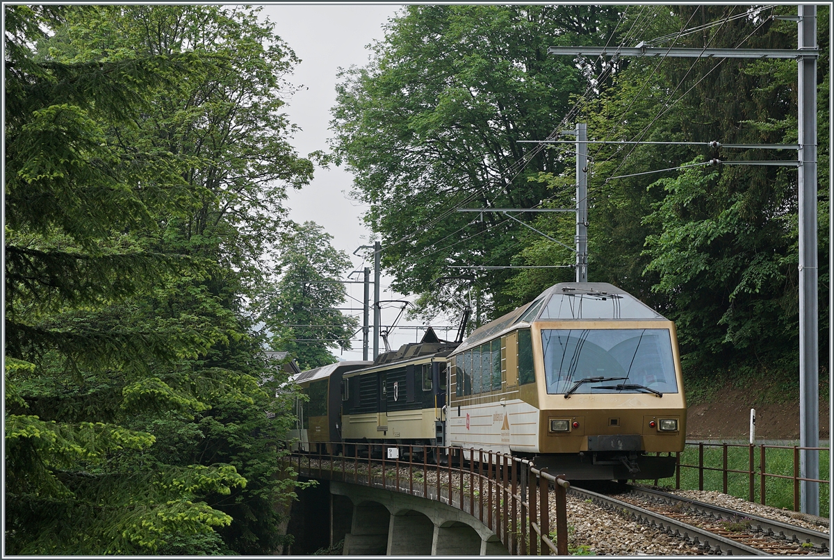 Der GoldenPass MOB Panoramic Zweisimmen - Montreux PE 2111 mit dem Ast 152 an der Spitze, der GDe 4/4 6004  Interlaken  als Zug-Lok und dem Ast 116 am Zugschluss zeigt sich kurz vor nach Sendy-Sollard.

16. Mai 2020