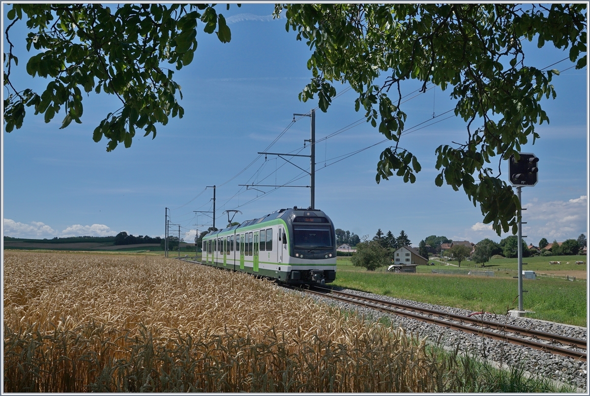Der Kanton Waadt (VAUD) bietet mit Jura, Mittelland und Alpen nicht nur landschaftlich eine interessante Vielfalt, sondern auch im Bahnverkehr: Von einem schattigen Plätzchen im Schutze eines Baumes konnte ich im  Gros-de-Vaud , der Kornkammer des Kantons, den LEB Be 4/4 64, unterwegs als Regionalzug 131 von Lausanne Flon nach Bercher kurz nach Fey fotografieren. 

25. Juli 2020