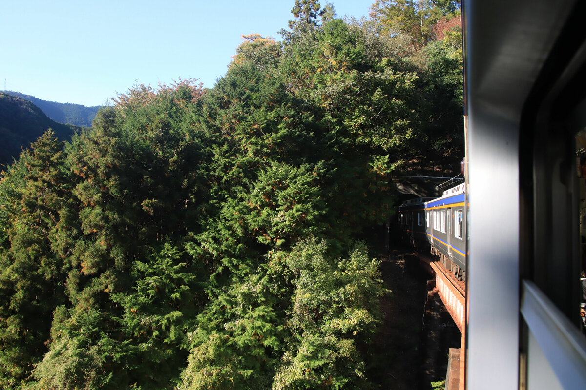 Der Nankai-Konzern, Partnerbahn der MOB: Wie hier zu sehen, ist es unmöglich, eine Aufnahme des Zuges auf der Bergstrecke von einem Weg aus zu machen, zu urwaldartig ist die Landschaft (2). Unterhalb Kii Hosokawa, 5.November 2022 