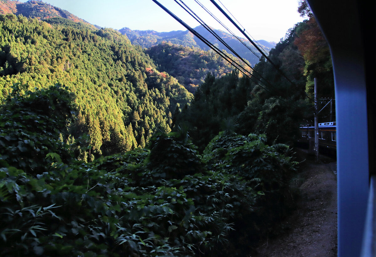 Der Nankai-Konzern, Partnerbahn der MOB: Wie hier zu sehen, ist es unmöglich, eine Aufnahme des Zuges auf der Bergstrecke von einem Weg aus zu machen, zu urwaldartig ist die Landschaft (1). Oberhalb Kii Hosokawa, 5.November 2022 