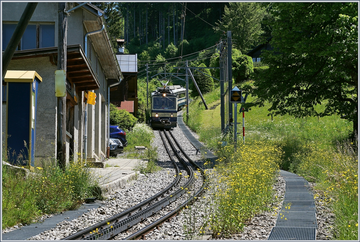 Der Rochers de Naye Bhe 4/8 304 vorne und 301 hinten erreichen Crêt-d'y-Bau.
28. Juni 2016 