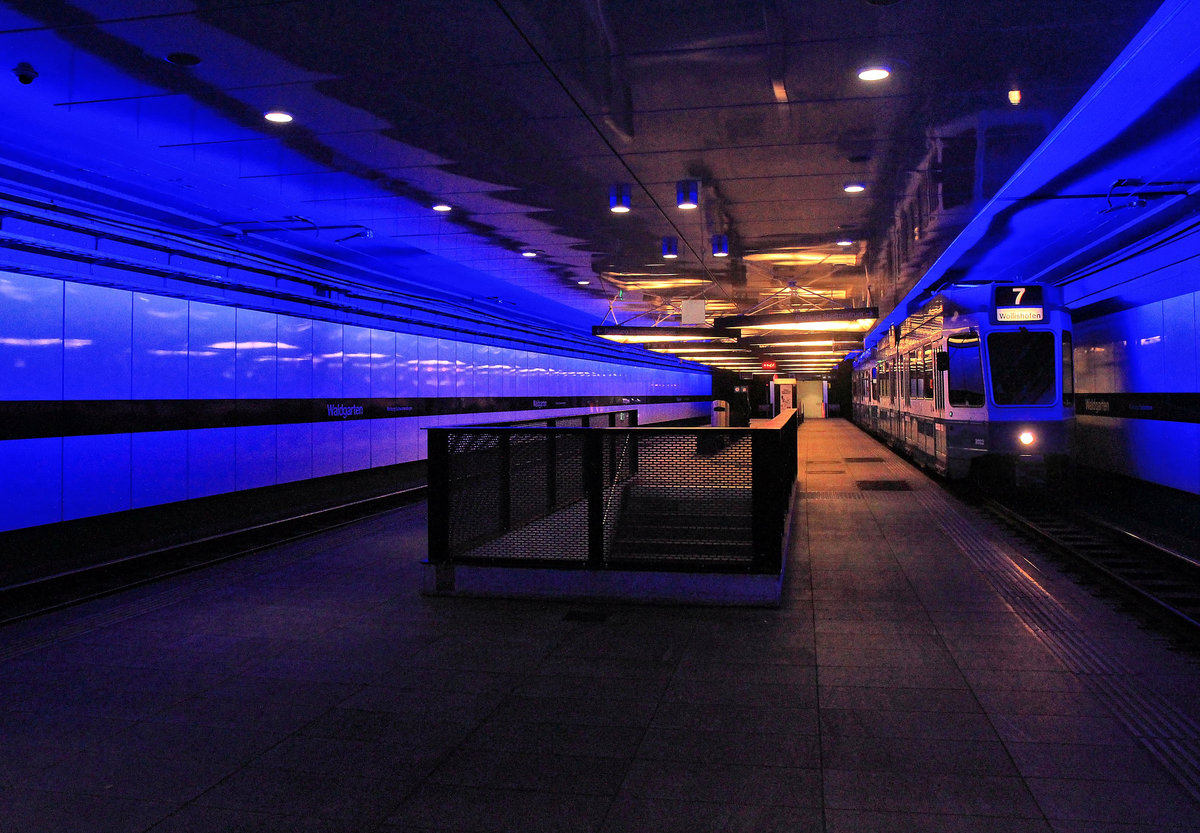 Der Schwamendinger Tunnel: Die beiden Gelenkwagen 2022 und 2017 an der Haltestelle Waldgarten. 17.Oktober 2020 