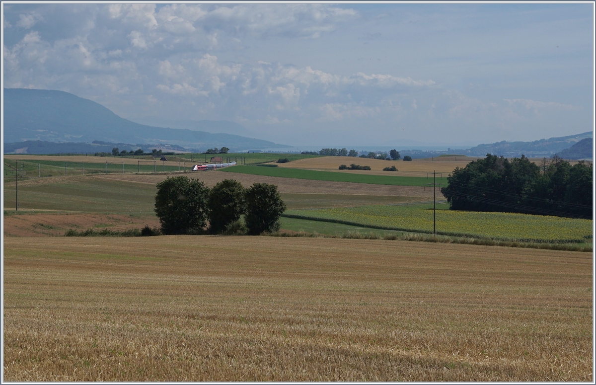 Der TGV Lyria 9261 von Paris Gare de Lyon nach Lausanne oberhalb von Arnex auf der Fahrt durch die hügligen Jurasüdfuss Landschaft. 

25. Juli 2020