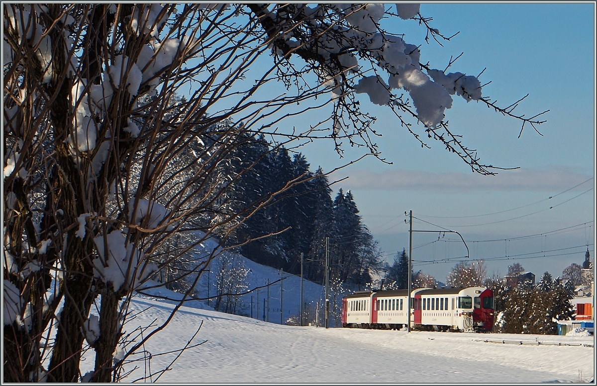 Der TPF Regionalzug (S51) 14858 von Palézieux hat sein Ziel Châtel St-Denis fast erreicht.
21. Jan 2015