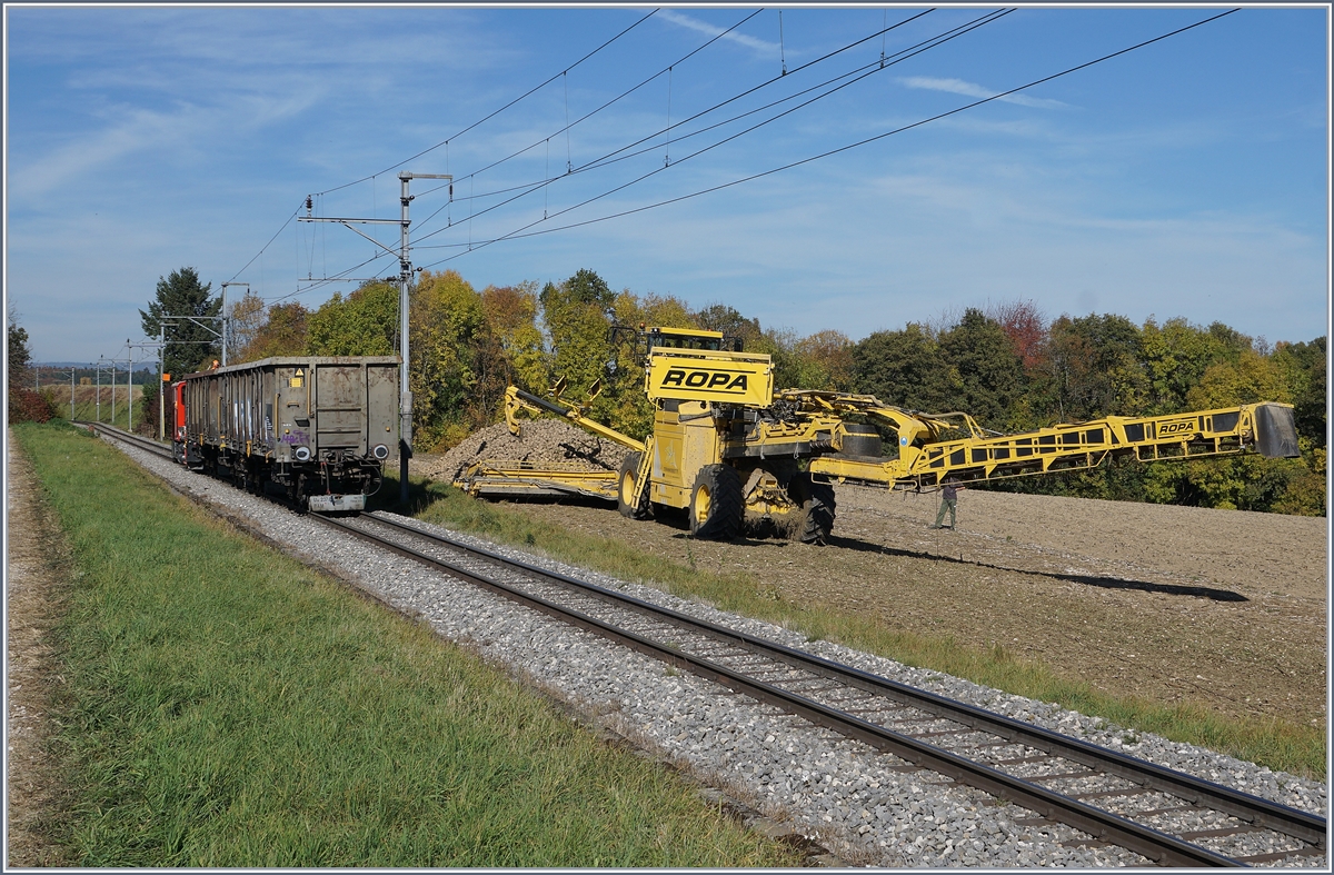 Der zurückgefahrene Tm 2/2 41 mit den beiden Eaos beim Verlanden der noch verblieben Zuckerüben bei Reverrolle.
17. Okt. 2017 