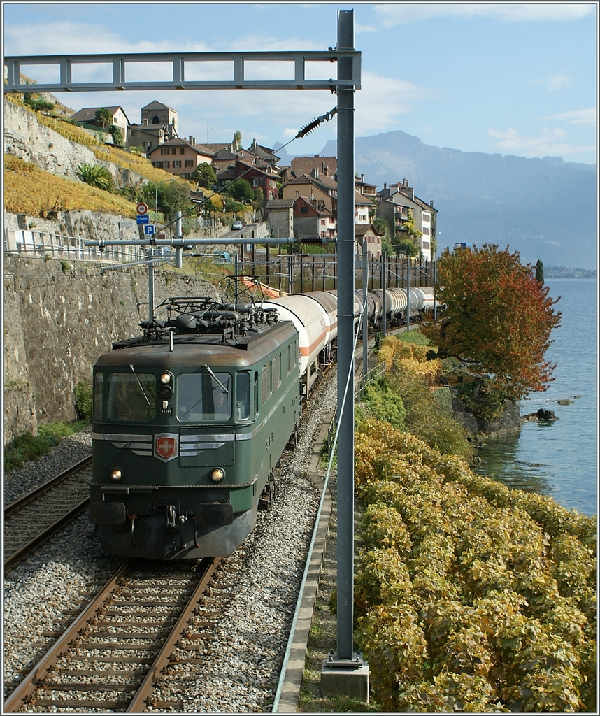 Die Ae 6/6  Kantonslok  11405 bei St-Saphorin.
20. Okt. 2008 