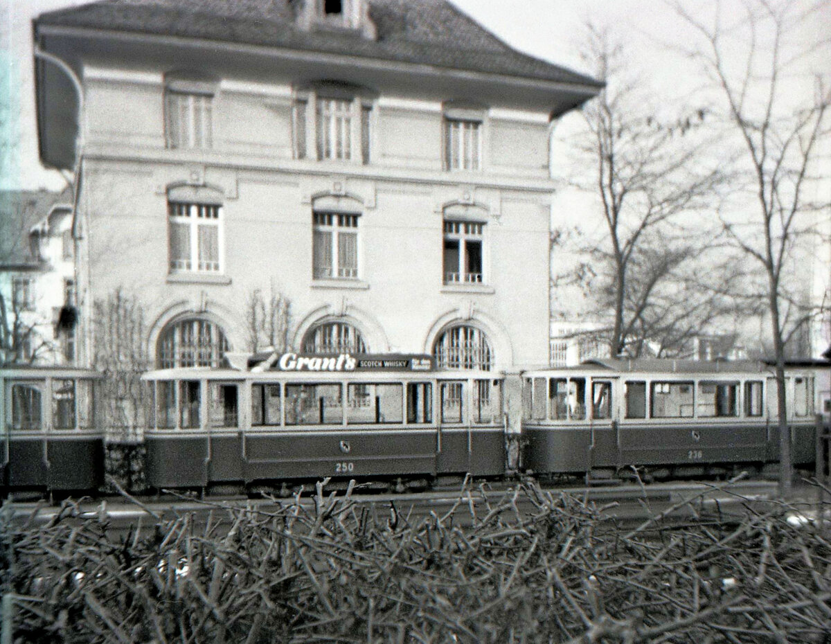Die alten Berner Zweiachs-Anhänger: Bevor es 1914 zum Bau des Standard-Typs von zweiachsigen Anhängern kam, wurden 1910 vier und 1912 sieben Vorserienwagen mit grossem Fassungsvermögen in Dienst gestellt. Die ersten 4 Wagen (227-230) wogen etwa 300 kg mehr, hatten etwas grössere Räder und waren deutlich länger als die 6 kleinen geschlossenen Wagen von 1905. 231-237 waren etwas leichter und hatten ein bisschen kleinere Räder. Merkmal aller 11 Wagen (227-237) war das weniger gewölbte Dach, so dass es kein zu öffnendes Dachfenster in der Längsrichtung gab, dafür war dort ein kleiner Ventilator eingebaut. Im Bild sieht man den Standardwagen 250 mit dem stark gewölbten Dach und den Vorserienwagen 236. Beide Wagen warten im Depot Burgernziel am 21.September 1965 auf Abbruch.         