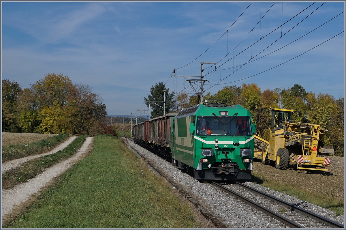 Die BAM Ge 4/4 22 erreicht mit einem weiteren leeren Sieben-Wagen Zug die Zuckerrübenverladestelle bei Reverolle, wobei hier nur noch zwei Wagen beladen werden, auf die  übrigen fünf warten ein paar hundert Meter weiter unten, weitere Zuckerrüben.
17. Okt. 2017