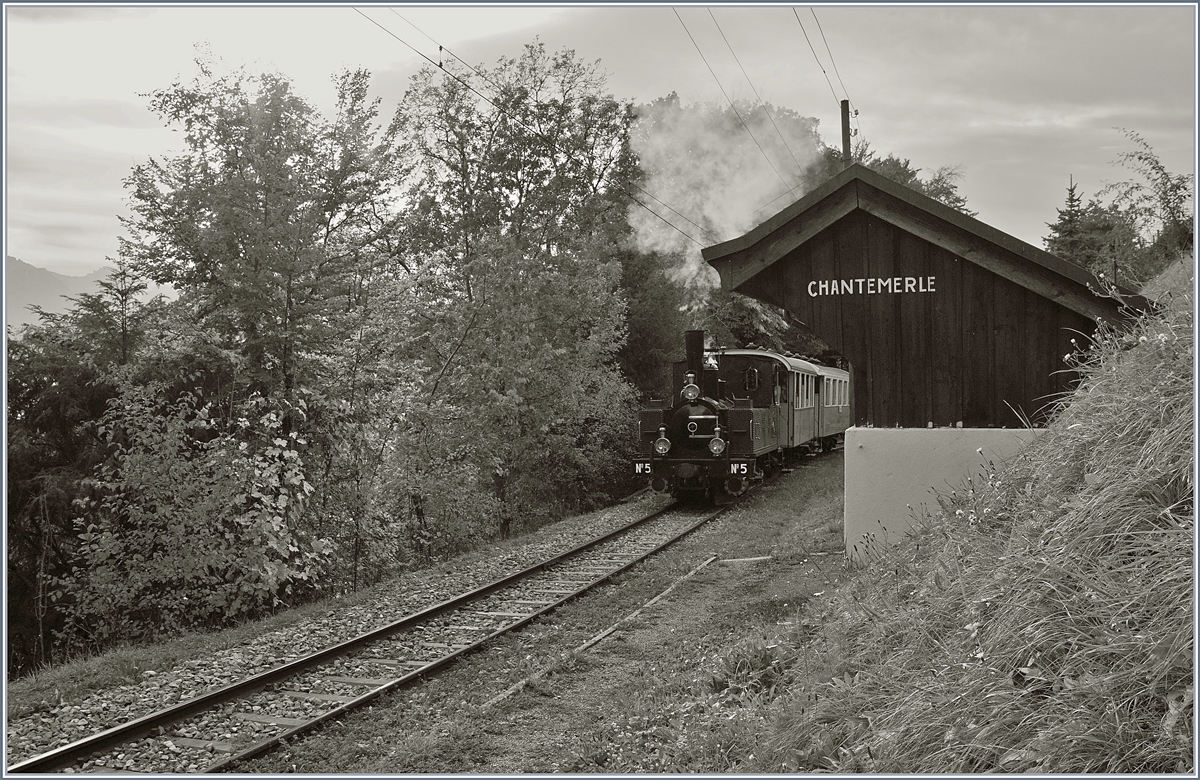 Die Blonay-Chamby LEB G 3/3 N° 5 erreicht mit ihrem Personenzug die Haltestelle Chantemerle. 

27. Okt. 2019
