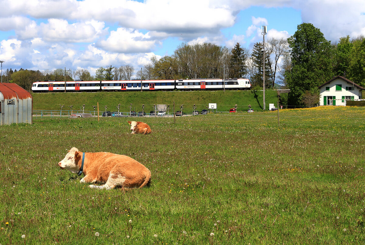 Die Broyetallinie: Ein NPZ Domino-Zug fährt in Palézieux-Village ein. 20.Mai 2021 