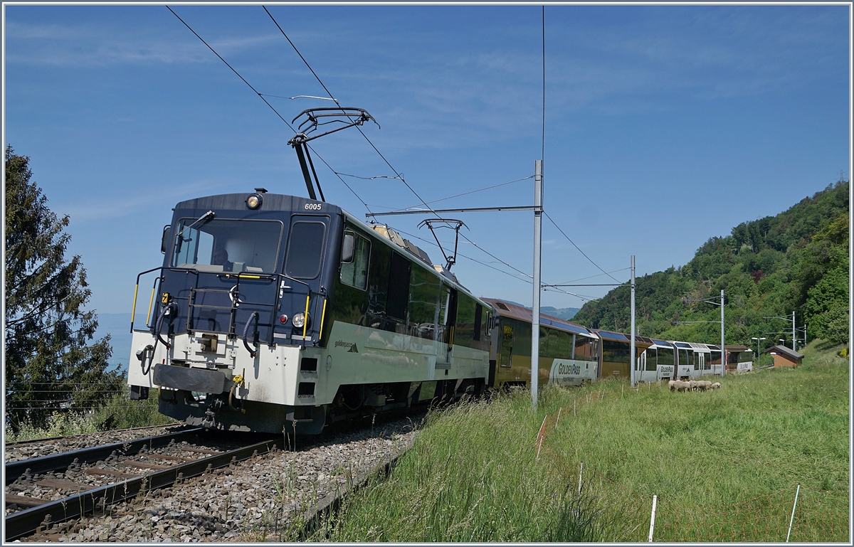 Die MOB GDe 4/4 6005 mit dem PE 2122 von Montreux nach Zweisimmen bei Sonzier. 
Nach langen verkehrte der Zug nicht nur mit vier Wagen in fast  normaler  Länge, sondern auch wieder mit Lok und Komposition. 
09. Mai 2020