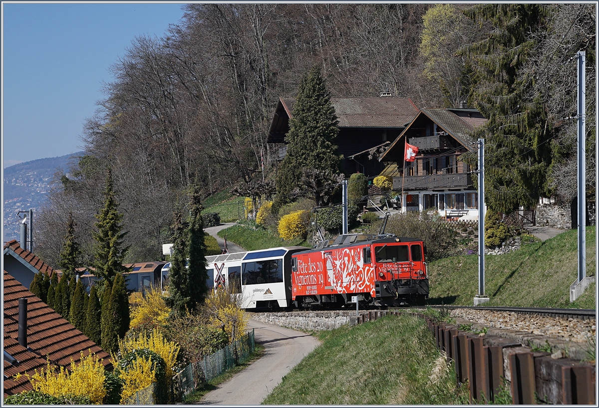 Die MOB GDe 4/4  Fêtes des Vignerons  mit einem Regionalzug nach Zweisimmen kurz nach Chernex.

22. März 2019