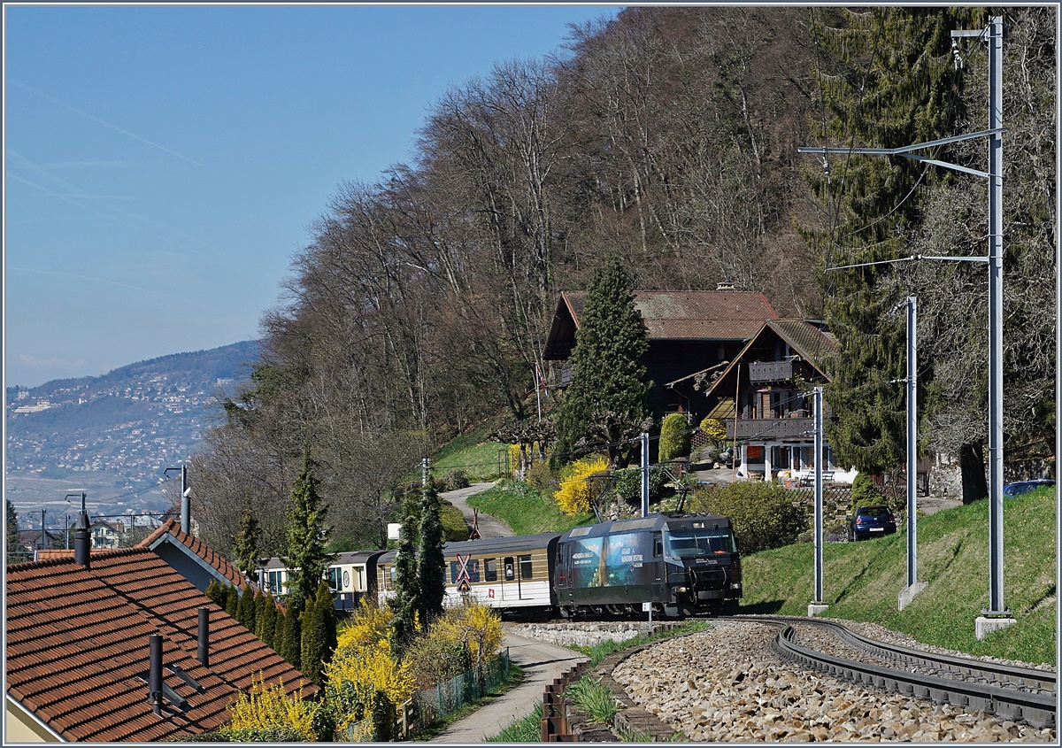 Die MOB Ge 4/4 8003 mit dem MOB Belle Epoque 3126 von Montreux nach Zweisimmen kurz nach Chernex. 27. März 2017