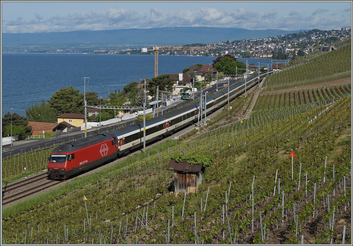 Die SBB Re 460 104-3 mit dem IR 1711 von Genève nach Brig im Lavaux kurz vor Cully.
8. Mai 2014
