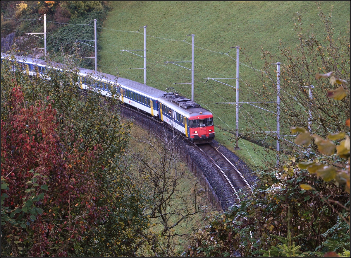 Drittletzter Planeinsatz von RBe 540 bei der SBB. 

Dieser Zug mit RBe 540 039-5 an der Spitze bringt die Bergwanderer nach G�schenen. Hier am Zuger See bei Walchwil. Oktober 2014.