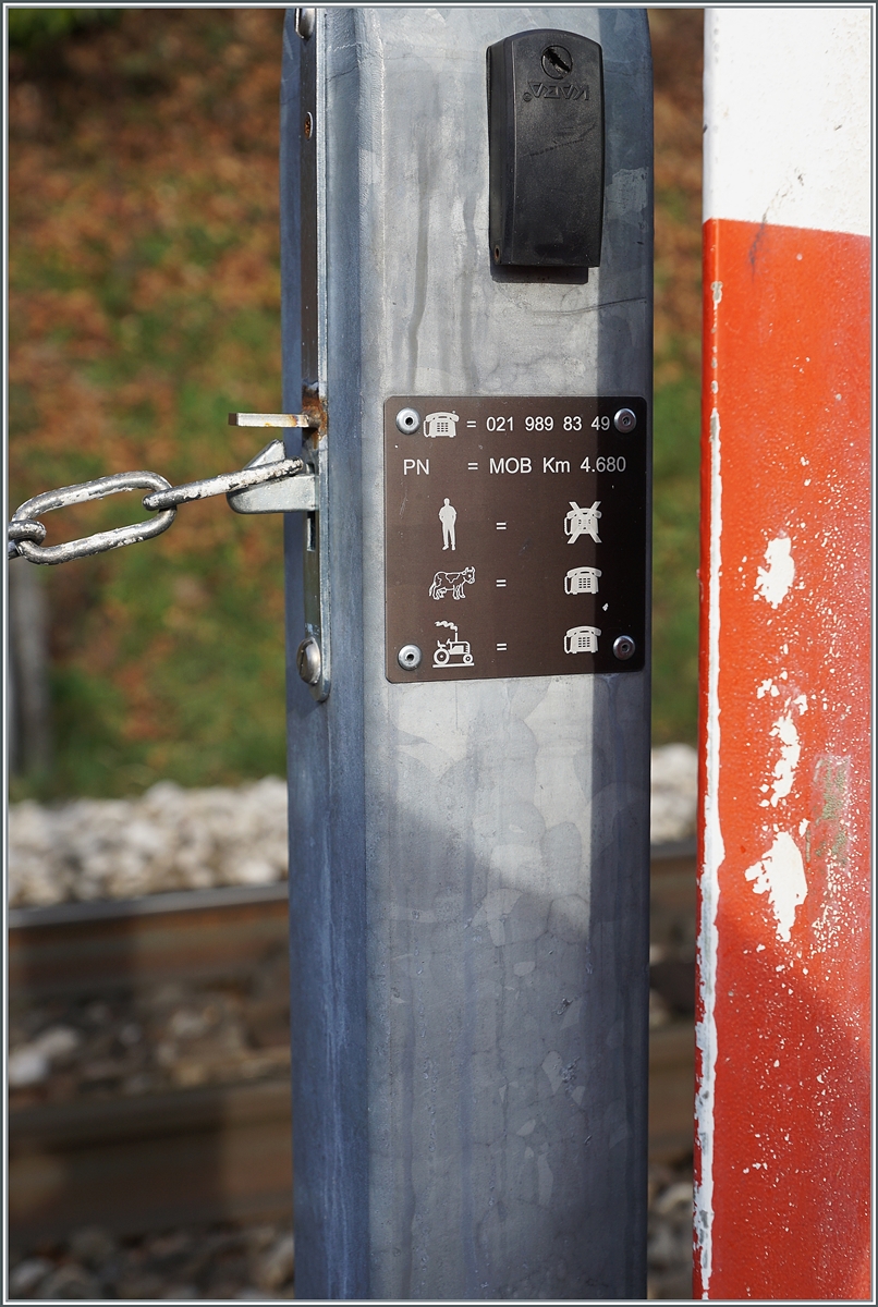 Ein Detail am Rande: eine Anrufschranke bei Chernex, aber nicht für jedermann wie die Bedienungsanleitung zeigt...

9. Jan. 2021