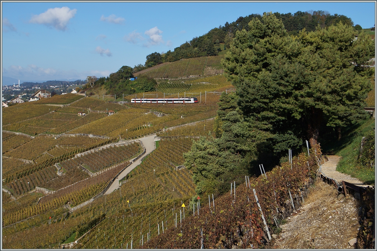 Ein Domino als S21 von Lausanne nach Payerne zwischen Bossière und Grandvaux. 
23. Okt. 2014