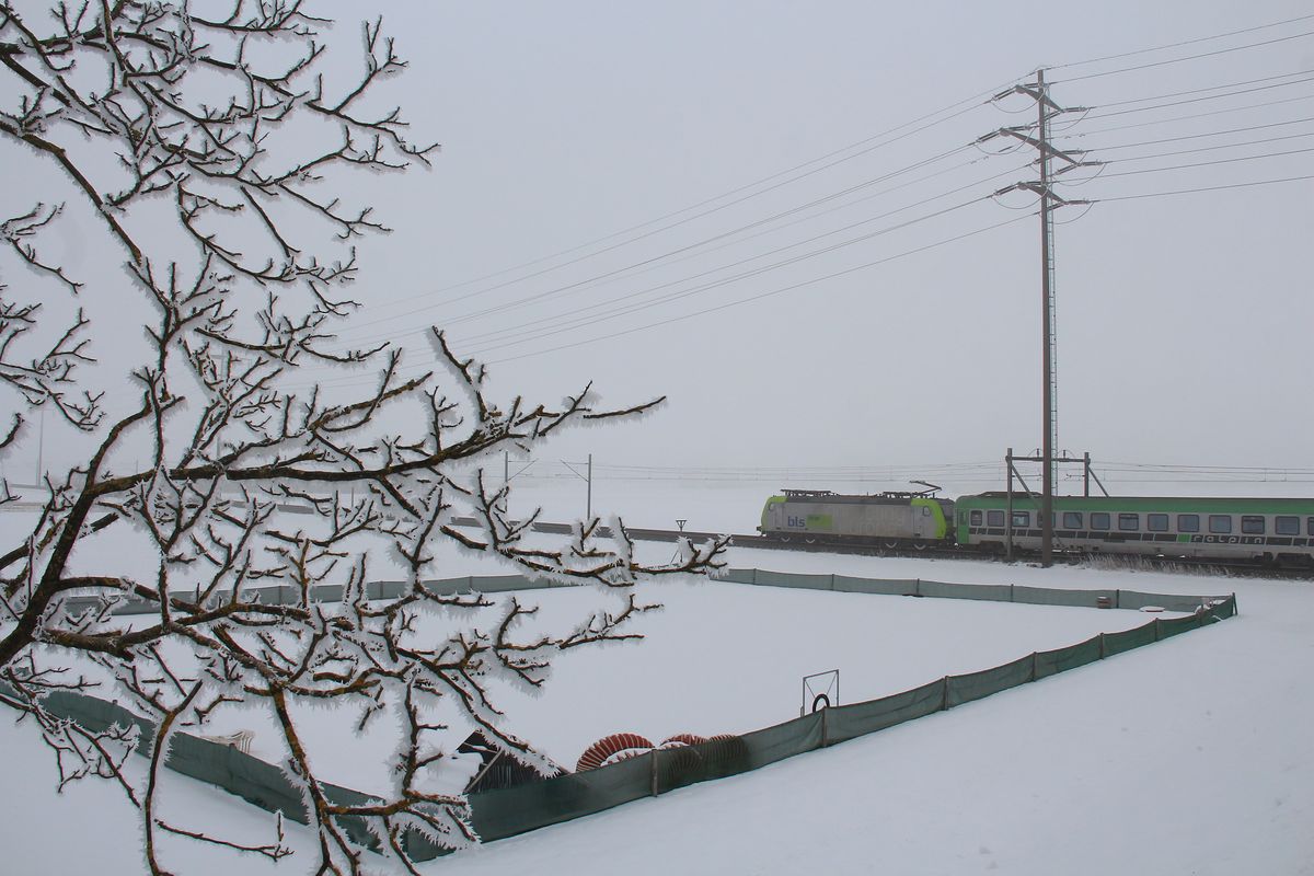 Ein kalter Tag an der Bahnlinie Bern-Thun: BLS Re 485 007.  23.1.17
