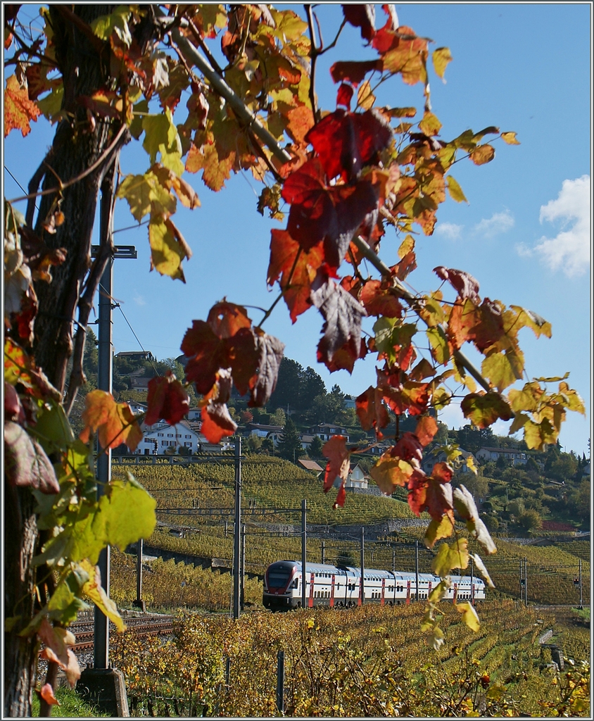 Ein RABe 511 auf dem Weg nach Romont zwischen Bossière und Grandvaux.
23. Okt. 2014