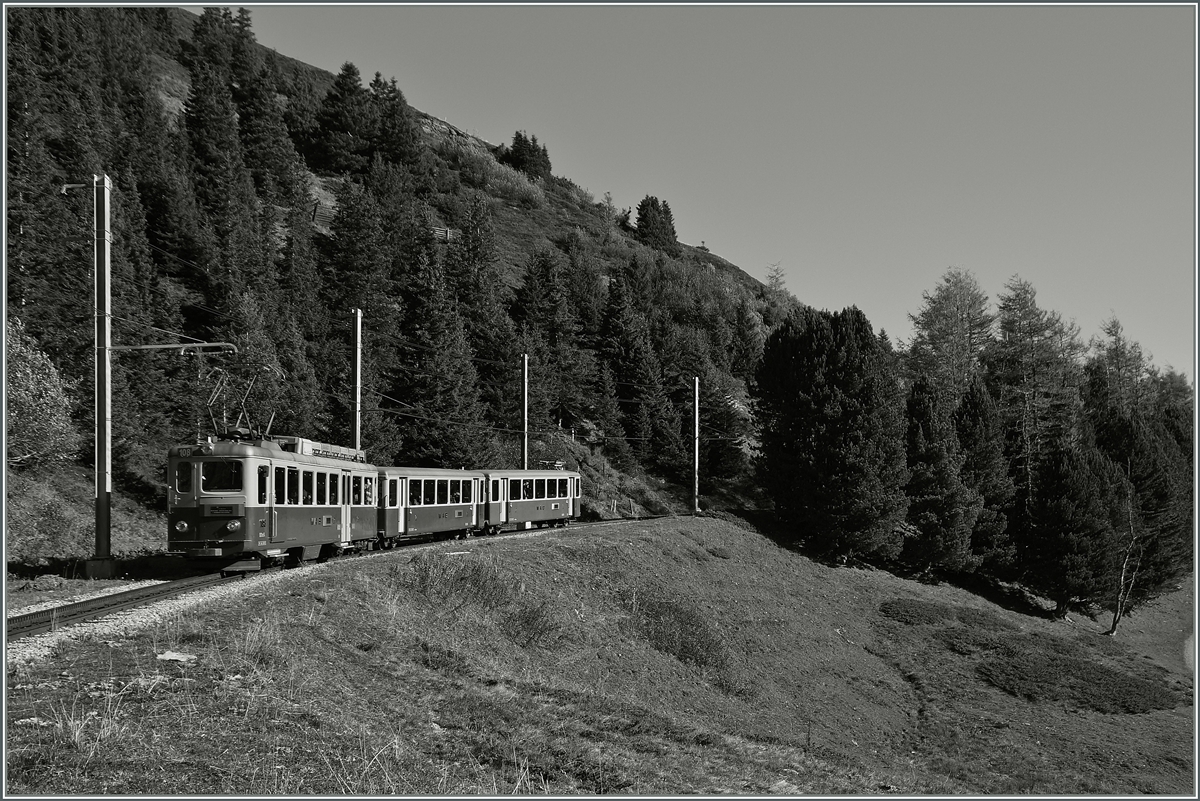 Ein WAB BDeh 4/4 mit zwei Bt zwischen der Kleinen Scheidegg und der Wengerneralp.
9. Okt. 2014