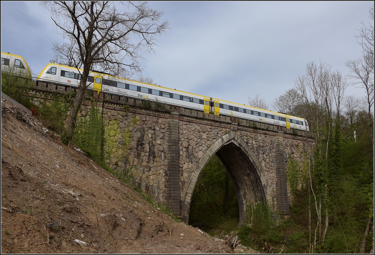Eine Doppeltraktion 612 auf der Steinabrücke in Tiengen. April 2019. 