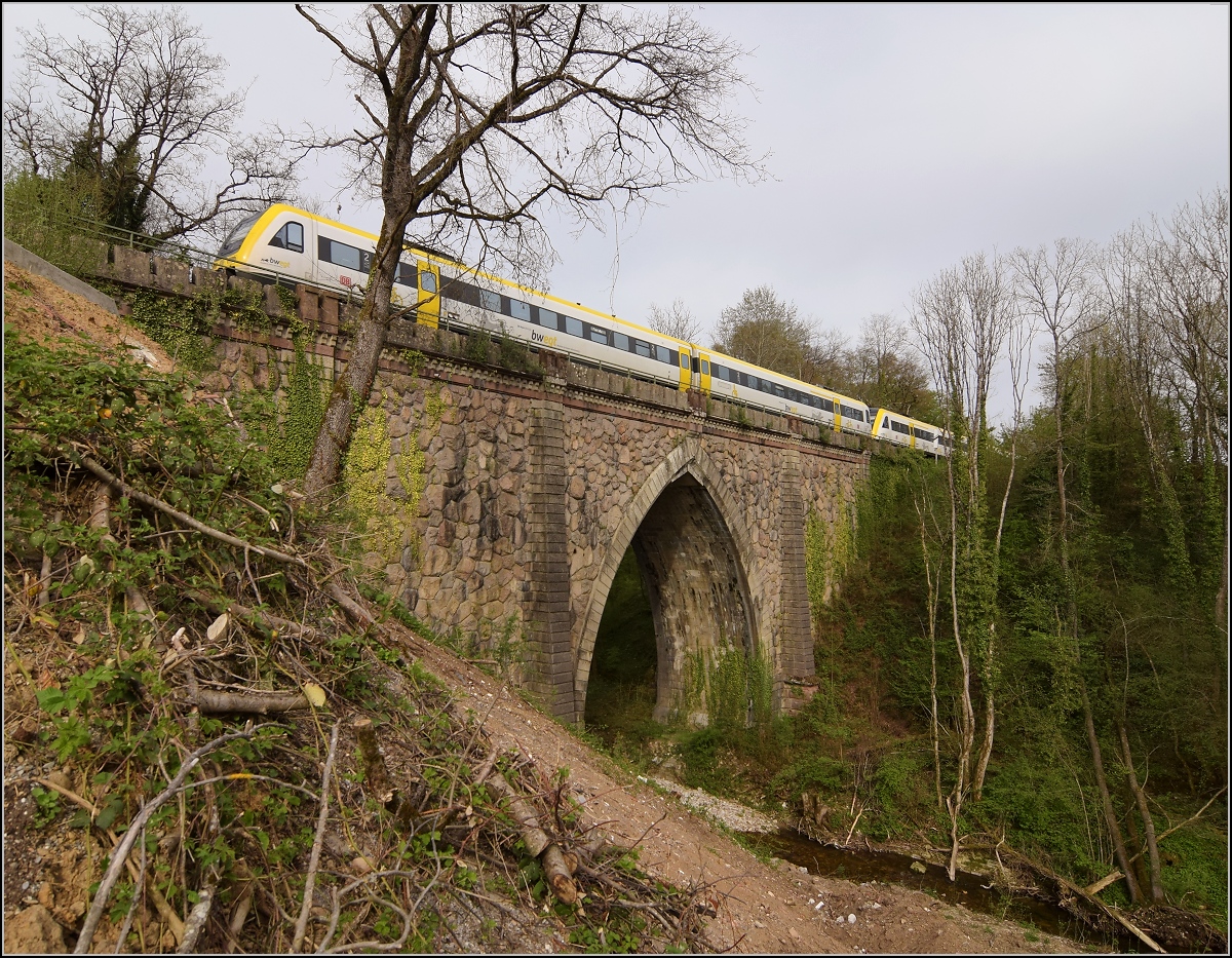Eine Doppeltraktion 612 auf der Steinabrücke in Tiengen. April 2019. 