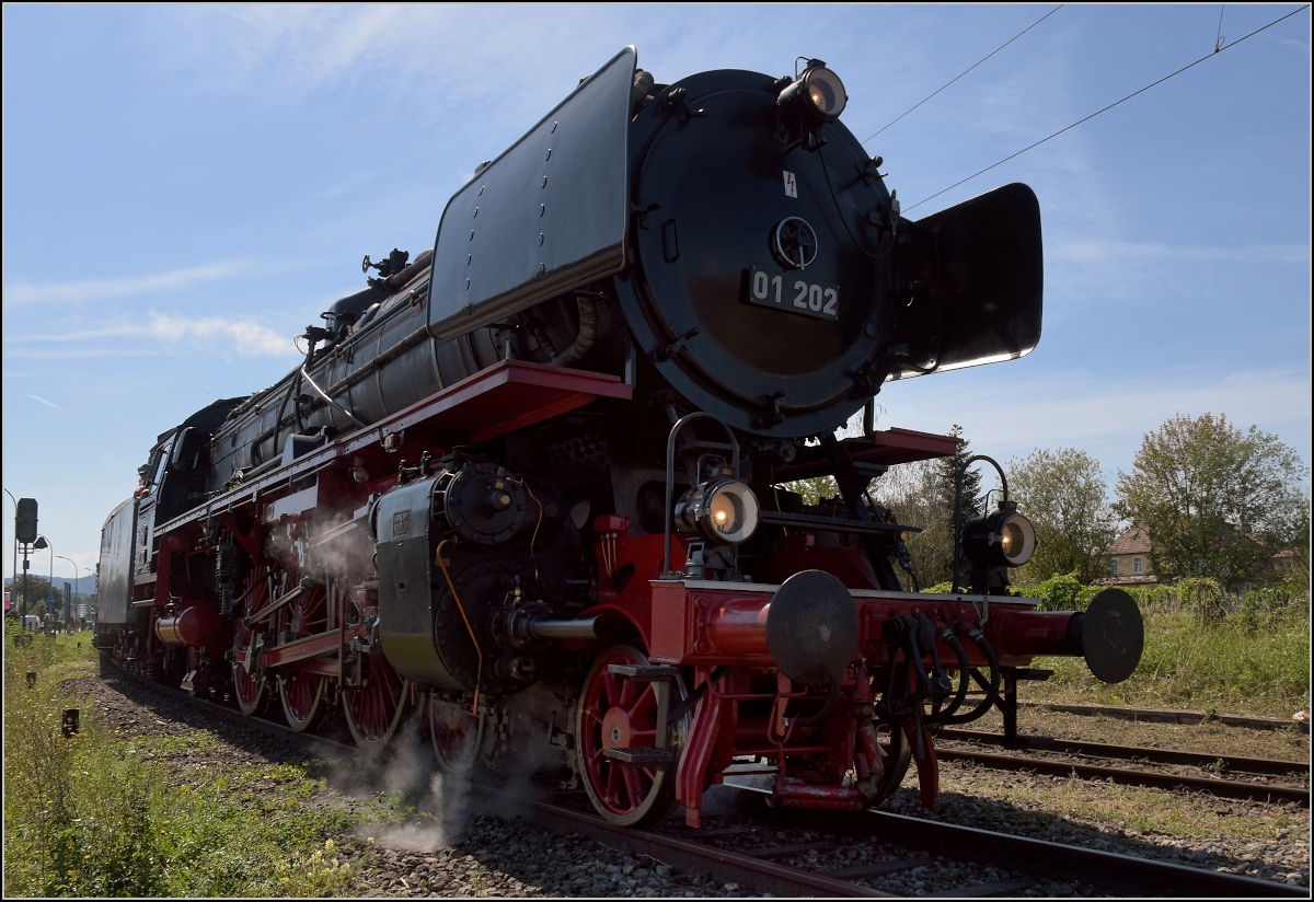 Endlich wieder Züge auf dem Schweizerbähnle (Etzwilen-Singen). 

Die letzte Hürde für den ersten Personenzug nach über 50 Jahren. Das Einfahrtsignal nach Singen. Nachdem es die Einfahrt noch um ein paar Minuten behindert hatte, konnte es nun losgehen in den Bahnhof. Doch aufgeben wollte es nicht, so gab es noch einen Zwangshalt. Singen, August 2020.