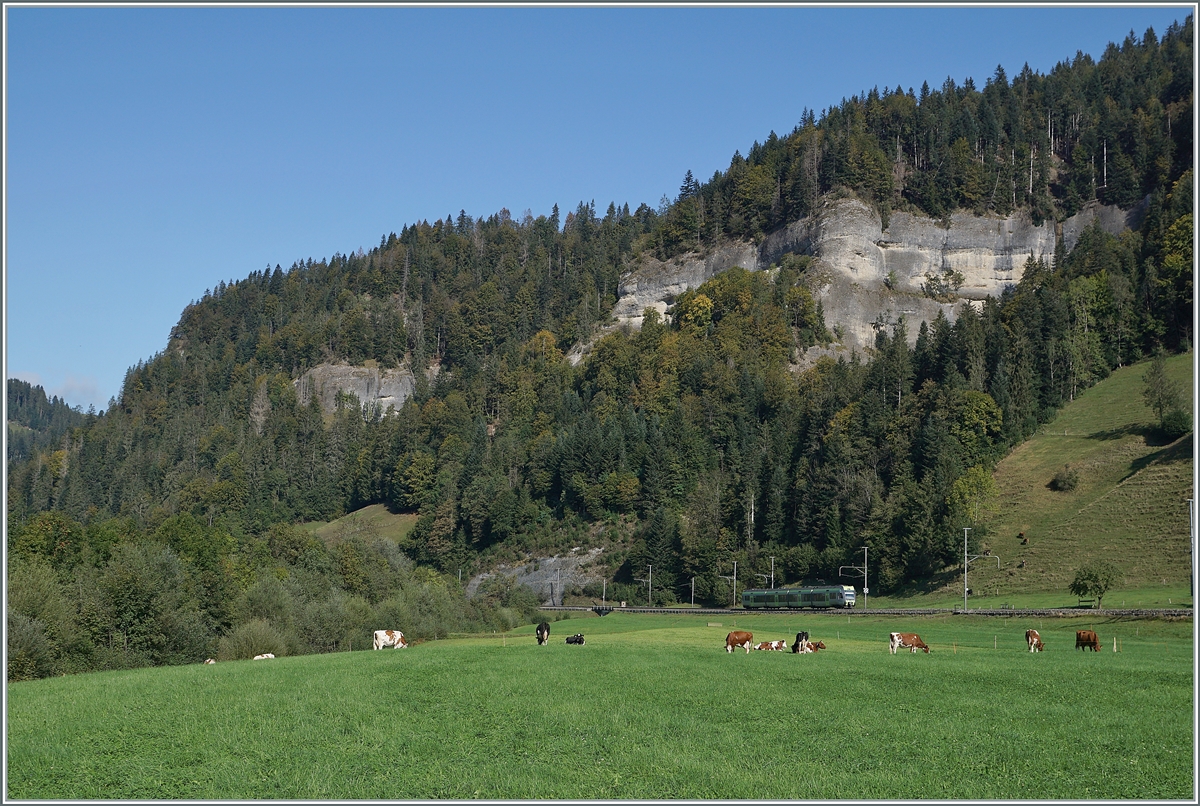 Etwas ungeschickt, wenn man von der Strasse abkommt, die Ilfis überquert und dann das  Emmentalbild  im Entlebuch entsteht... 

Ein BLS RABe 535 bei Ennetiflis (Wiggen) auf der Fahrt in Richtung Trubschachen. 

30. Sept. 2020