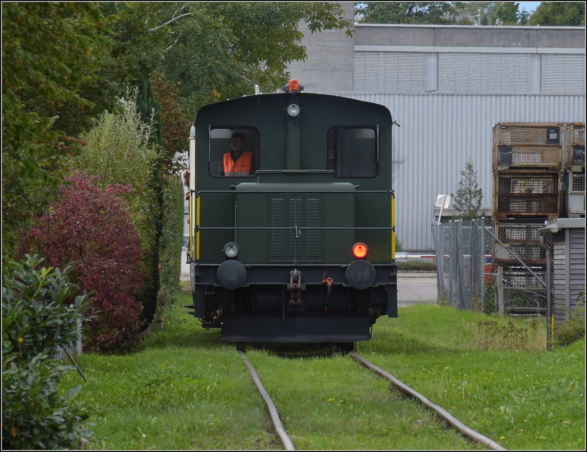 Fahrtag Wolfhuuser Bahn.

Tm 2/2 111 fährt an einer akurat geschnittenen Hecke in Wolfhausen vorbei. Oktober 2021.